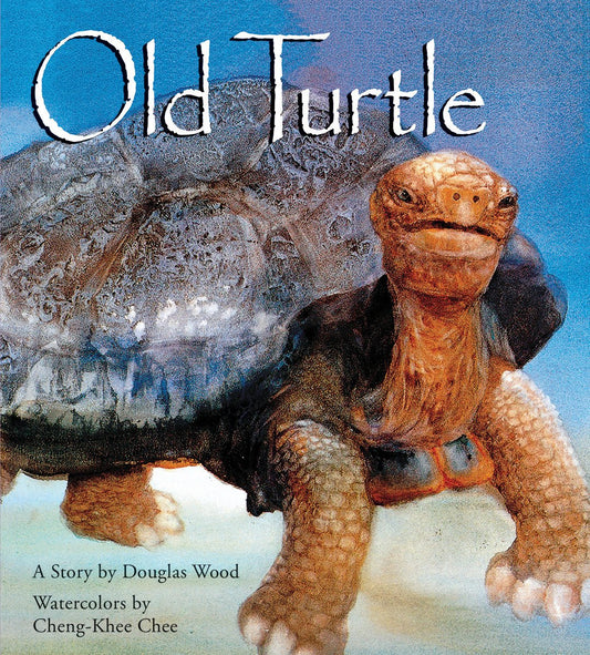 Book cover of 'Old Turtle' with a large tortoise on a blue background