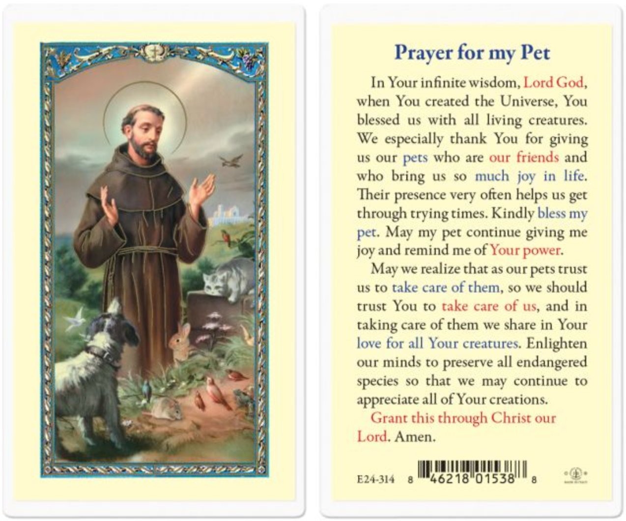 Prayer for My Pet Saint Francis Holy Card