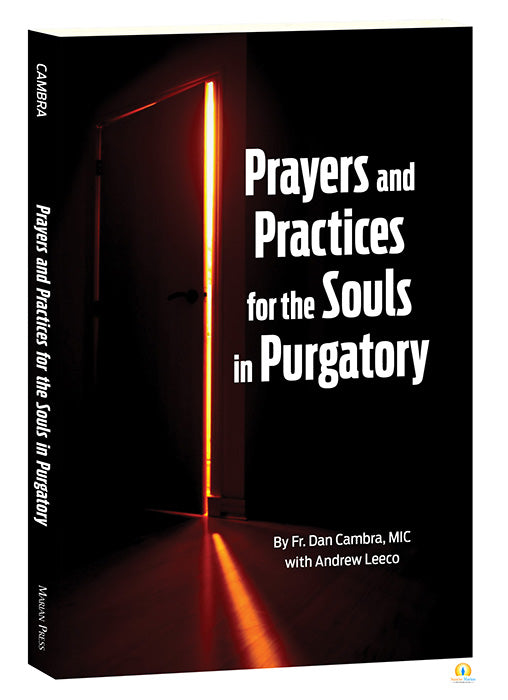 A book cover with the title 'Prayers and Practices for the Souls in Purgatory' illuminated by a light beam, symbolizing spiritual guidance or knowledge.