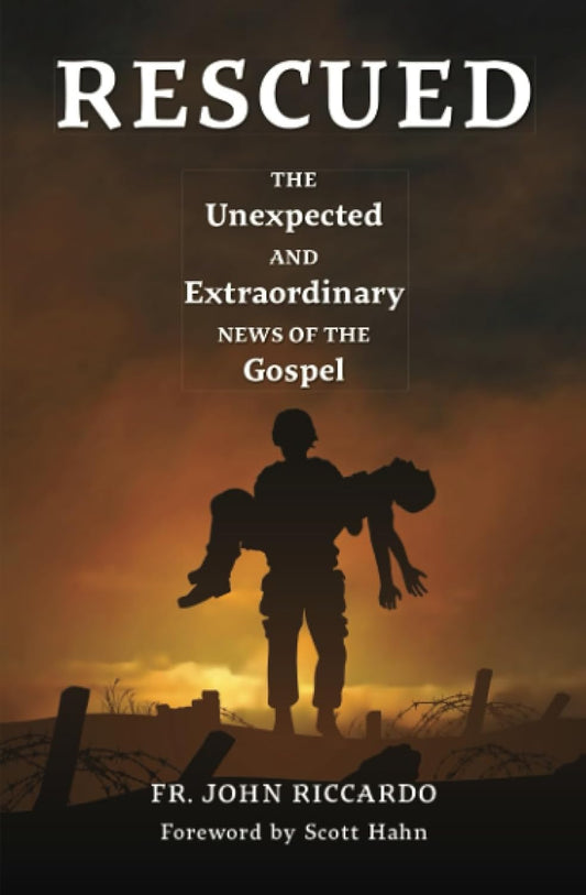 Book cover of 'Rescued' with silhouette of a person holding another against a sunset sky.