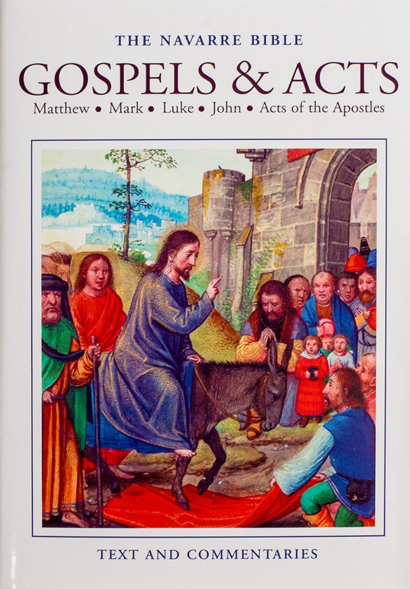 The Navarre Bible: Gospels & Acts