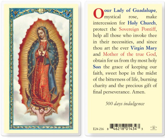Our Lady of Guadalupe Holy Card