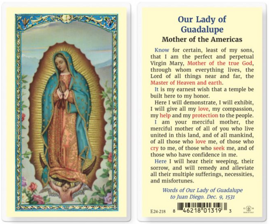 Our Lady of Guadalupe Mother of the Americas Holy Card