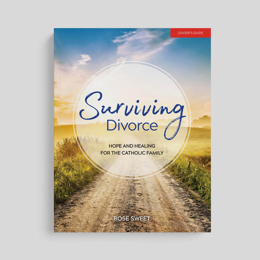 Book cover of 'Surviving Divorce' with a scenic road and sky background