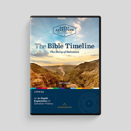 DVD set cover titled 'The Bible Timeline' with a scenic design on a gray background