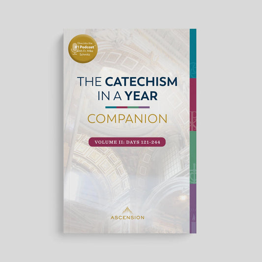 Book titled 'The Catechism in a Year Companion' on a light gray background