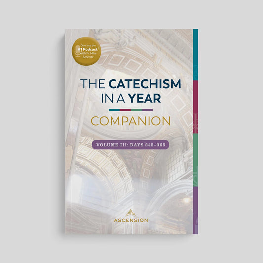 Book titled 'The Catechism in a Year Companion' on a light gray background