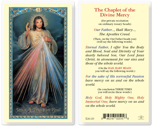 Divine Mercy prayer card with image of Jesus and prayer text on a white background