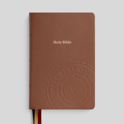 Brown leather Bible with embossed design and 'Holy Bible' text on a light gray background