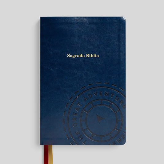 Blue notebook with 'Sagrada Biblia' embossed on it against a light gray background