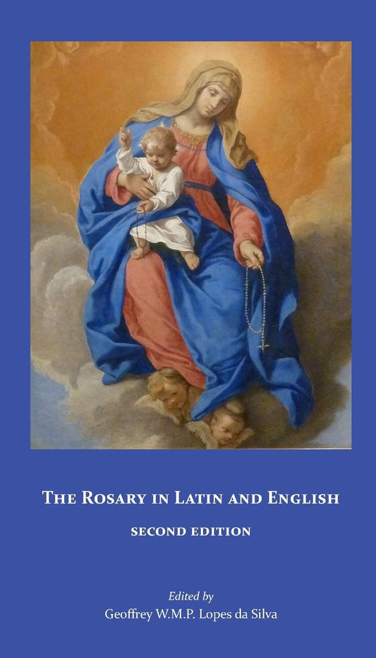 Book cover with an illustration of a woman holding a child against a blue background