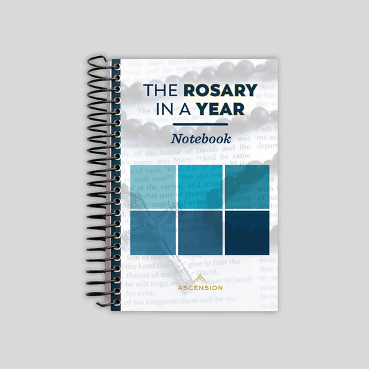 Notebook titled 'The Rosary in a Year' with blue square design on a gray background