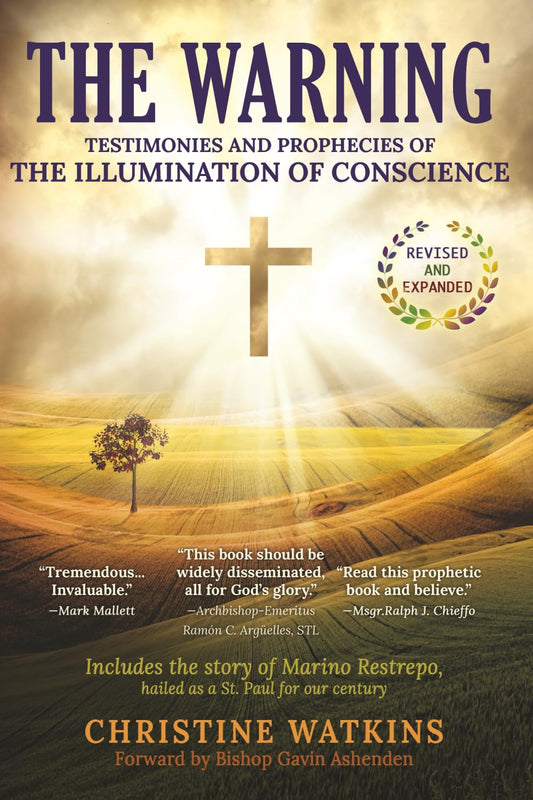 Book cover of 'The Warning' with a cross and tree in a field, featuring text about testimonies, prophecies, and Christine Watkins.