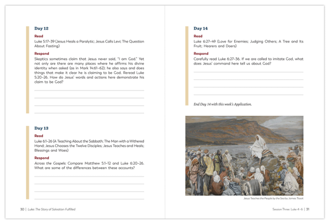 Luke: The Story of Salvation Fulfilled (Workbook)