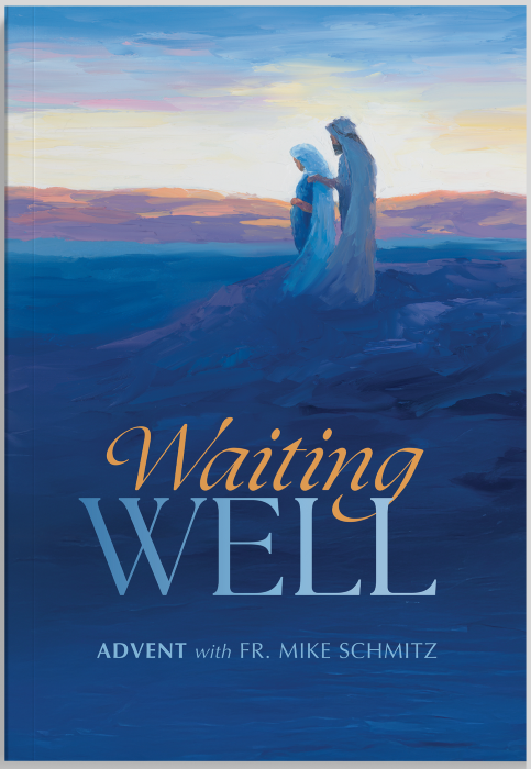 Book cover of 'Waiting WELL' with a depiction of a couple on a mountain at sunset.