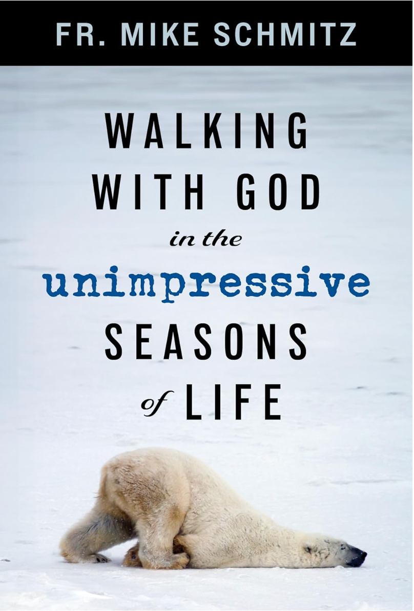 Book cover with a polar bear in a snowy landscape and text about walking with God in life's seasons.