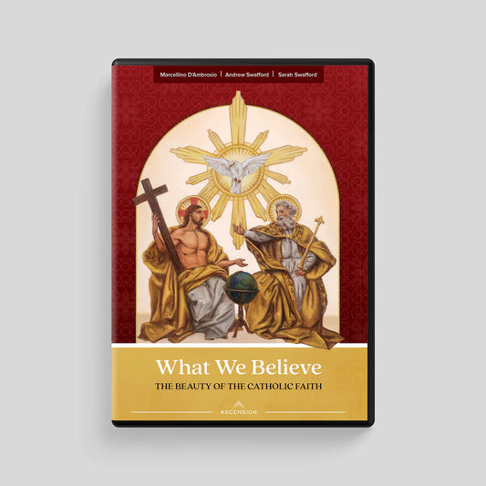Book cover of 'What We Believe: The Beauty of the Catholic Faith' with religious imagery on a gray background