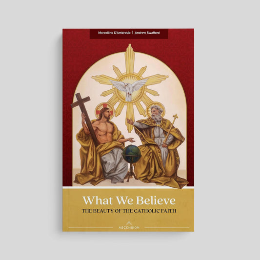 Book cover of 'What We Believe: The Beauty of the Catholic Faith' with religious illustrations on a red and gold background.