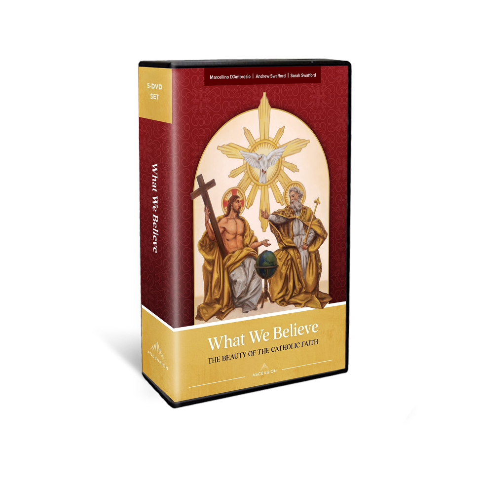 What We Believe The Beauty of the Catholic Faith DVD Set -