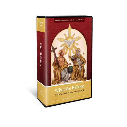 What We Believe The Beauty of the Catholic Faith DVD Set -