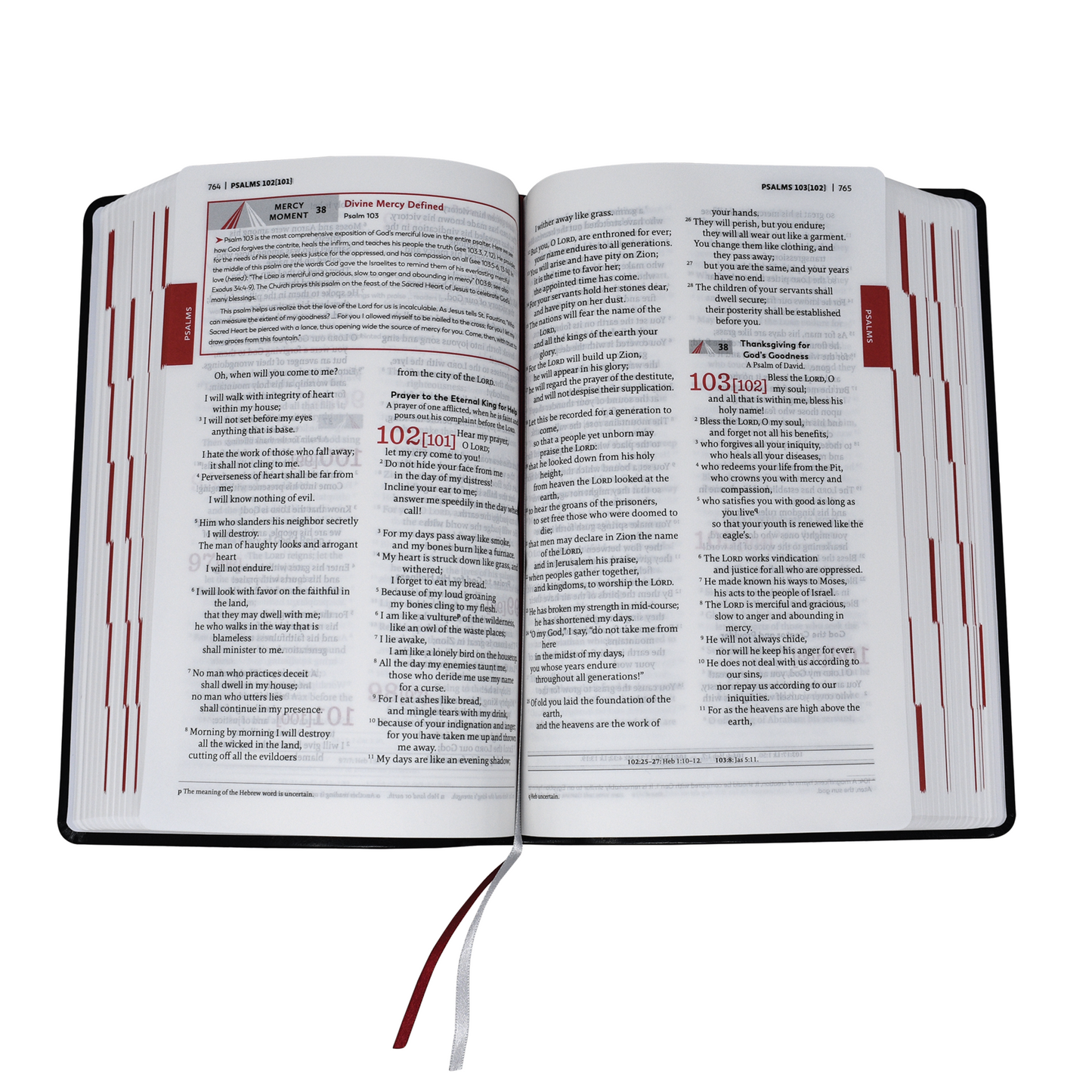 Divine Mercy Catholic Bible.