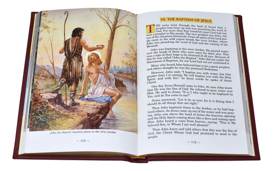 La Bible illustrée catholique (Bourgogne)