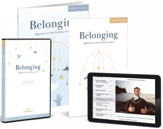 Belonging: Baptism in the Family of God, Starter Pack By Fr. Mike Schmitz