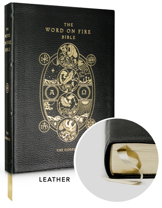 The Word On Fire Bible: The Gospels: Volume I
