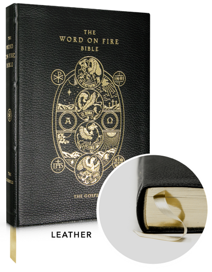 The Word On Fire Bible: The Gospels: Volume I