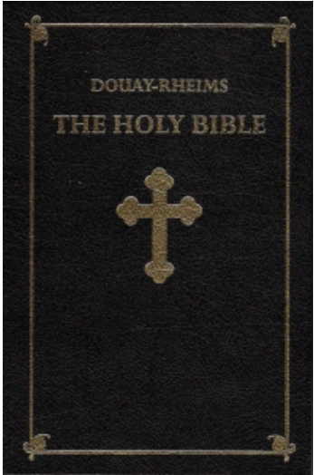 Douay Rheims Bible Hardcover