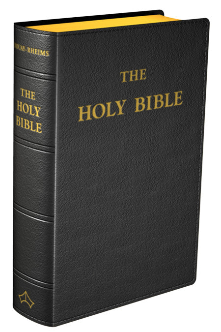 Douay-Rheims Version Holy Bible
