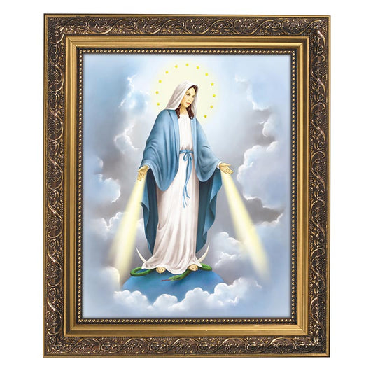 Our Lady of Grace Framed Picture
