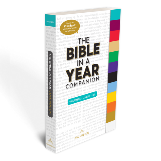 Bible in a Year Companion, Volume I: Days 1-120