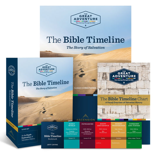 Bible Timeline The Story of Salvation Starter Pack