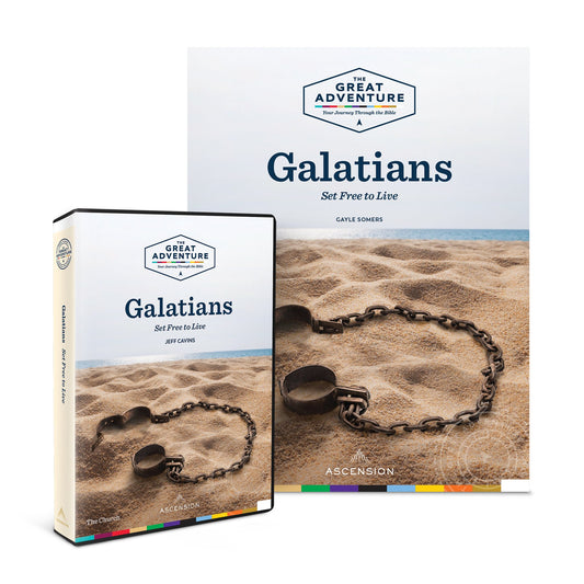 Galatians Set Free To Live Starter Pack