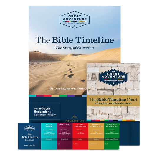 Bible Timeline The Story of Salvation Workbook