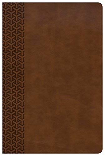 Biblia de estudio diario RVR