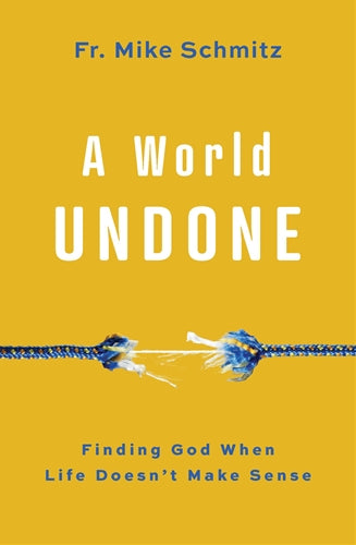 World Undone Finding God When Life Doesn't Make Sense