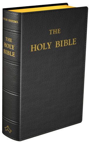 Douay-Rheims Bible (Standard size)
