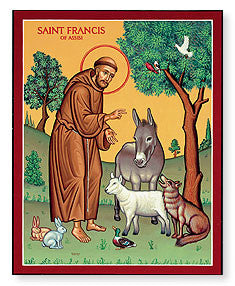 St. Francis & Animals