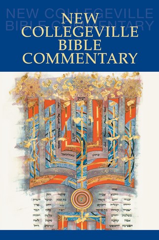 New Collegeville Bible Commentary  One-Volume Hardcover Edition