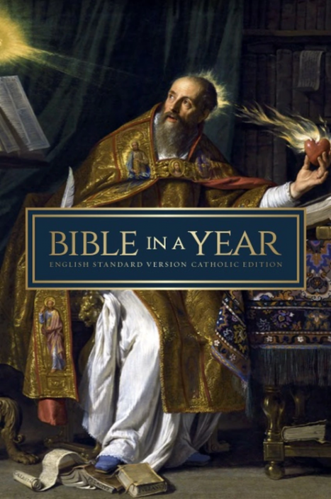 Cover of the St. Augustine Paperback - Bible in a Year (ESV-CE), featuring an image of a person with a book, symbolizing the theme of the Bible.
