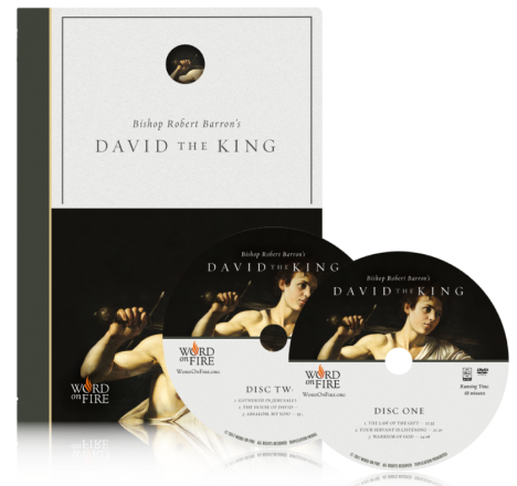 David the King DVD Set