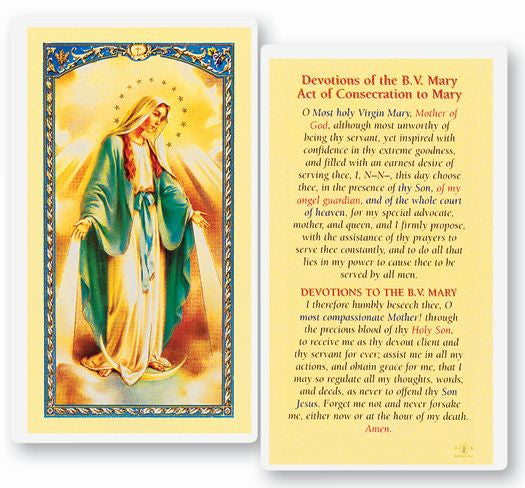 Devotions Of The Blessed Virgin Mary Laminated Holy Card