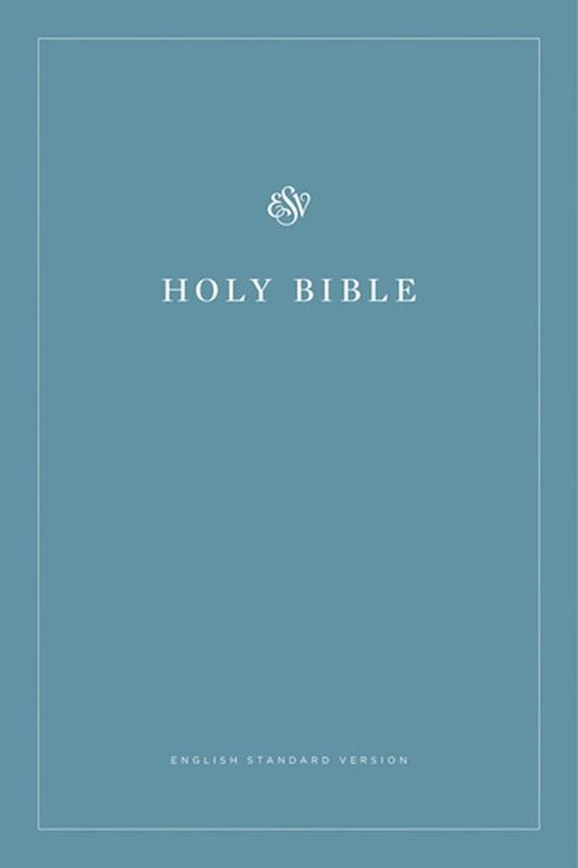 The image displays the cover of the ESV Economy Bible, featuring a simple design with the text 'HOLY BIBLE' and 'ENGLISH STANDARD VERSION' centered on a light blue background.