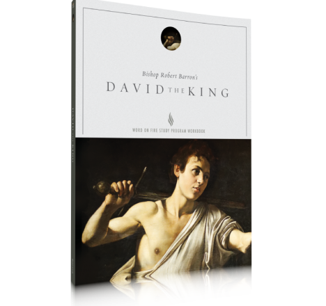 David the King Study Guide