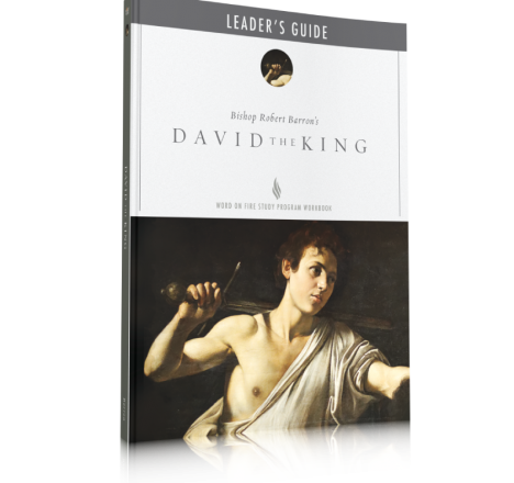 David the King Leader Guide