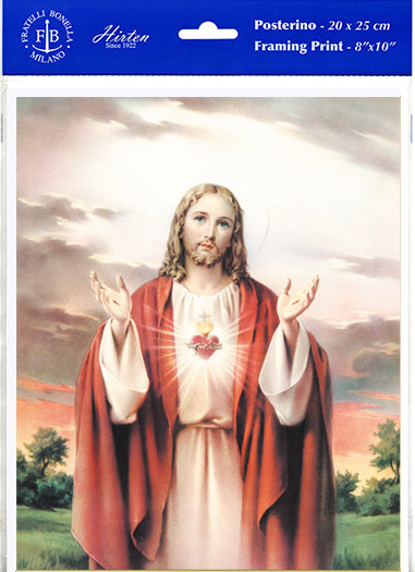Sacred Heart of Jesus 8 x 10" Picture